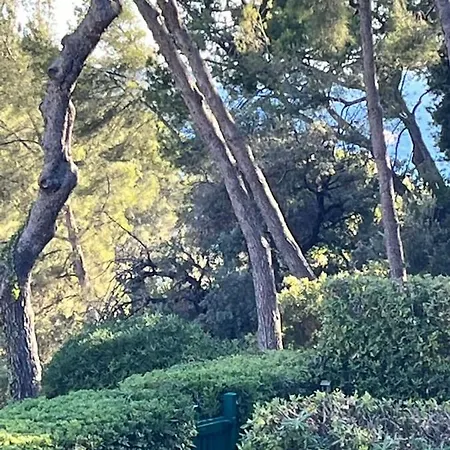 Dragonniere, Superbe 2p Vue Parc Et Piscine, Pres De Monaco *